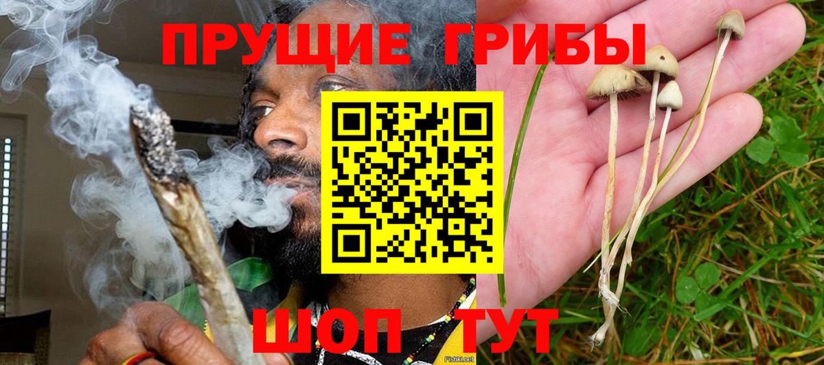 Галлюциногенные грибы мицелий Избербаш