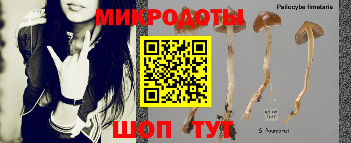 Галлюциногенные грибы Psilocybe  Вход с VPN  где купить наркоту  Избербаш  Галлюциногенные грибы мухоморы 